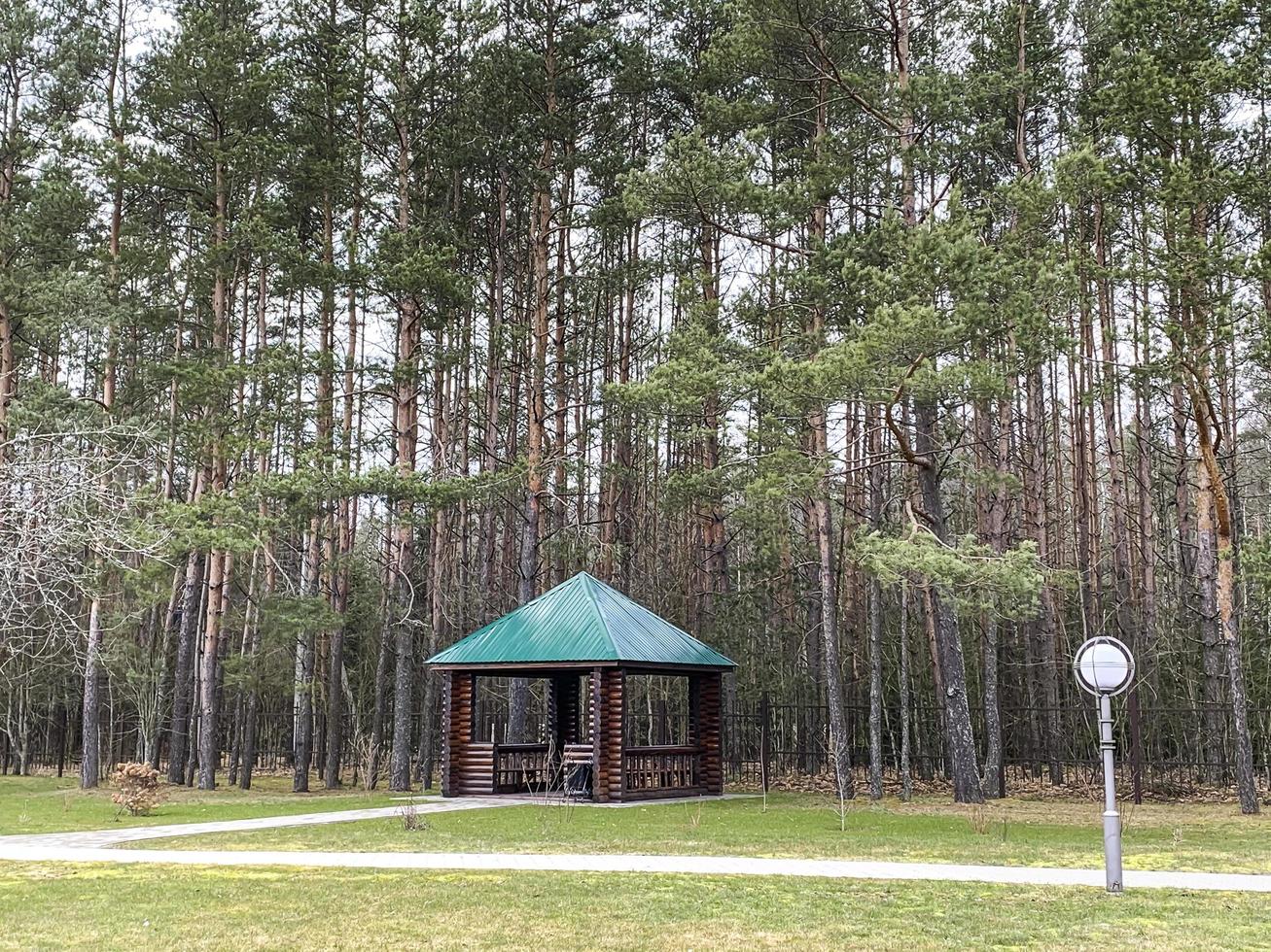 Large wooden gazebo on background of forest photo