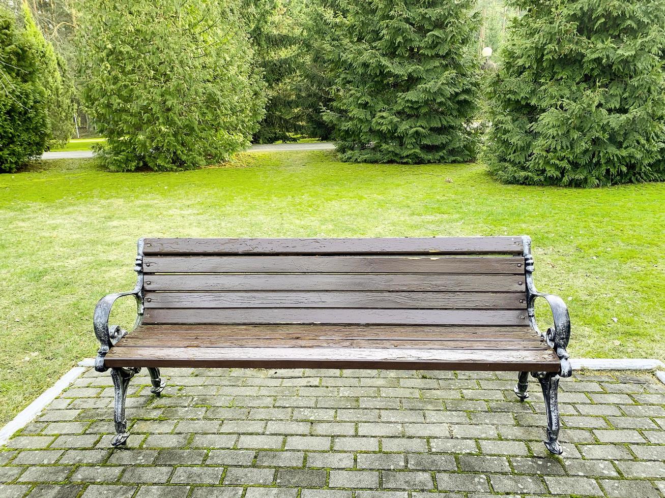 Wooden bench on walkway in park. photo. photo