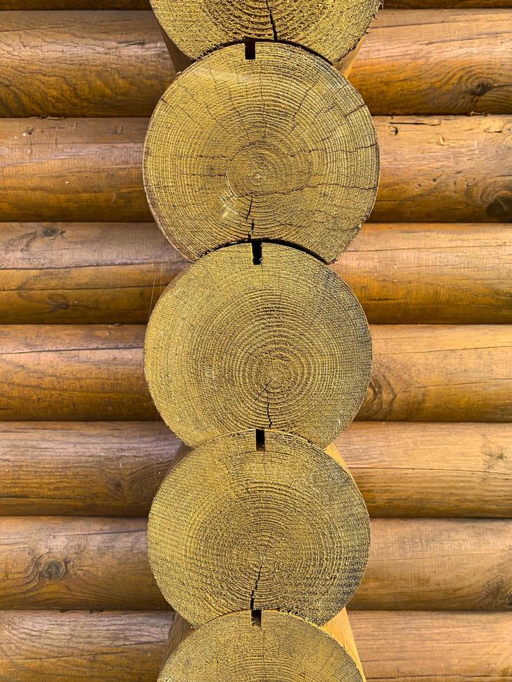 textura de árbol, primer plano de troncos aserrados. Foto. foto