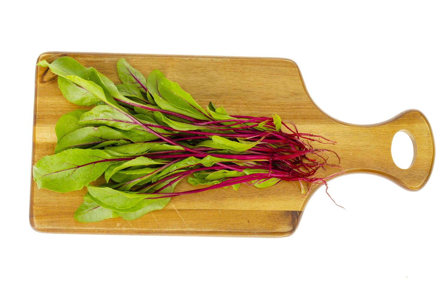 Microgreen. Red beetroot sprouts for cooking vegetarian dishes. photo