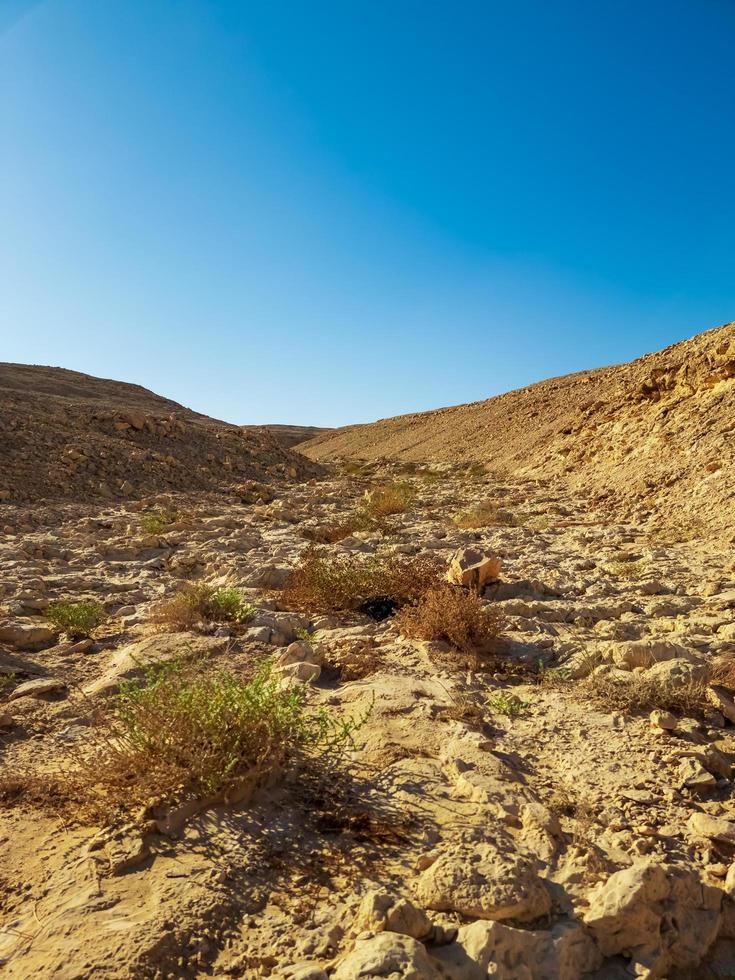 dunas de arena en el desierto foto