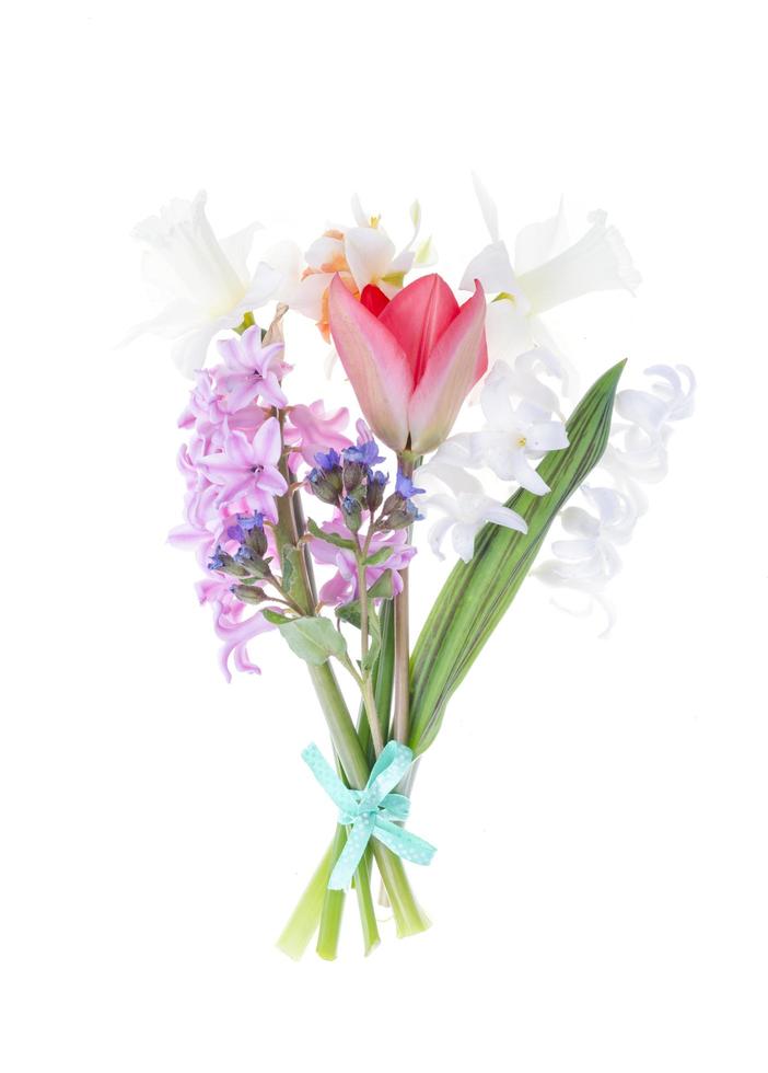 Bouquet of spring garden flowers on white background. photo