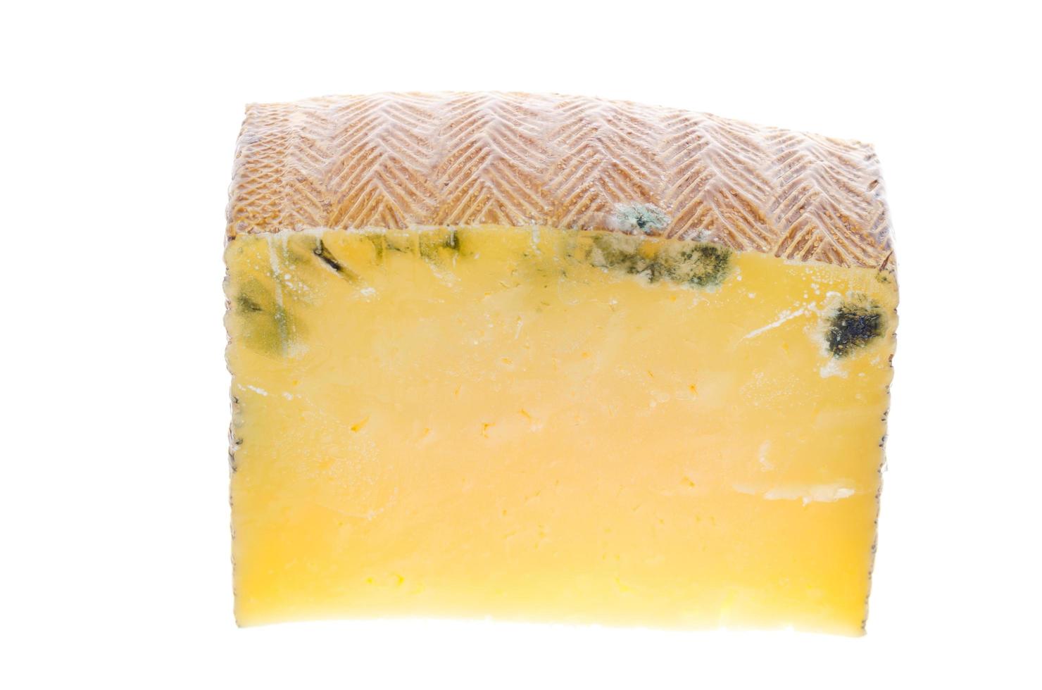 Expired food, spoilage, mold on white. Studio Photo. photo