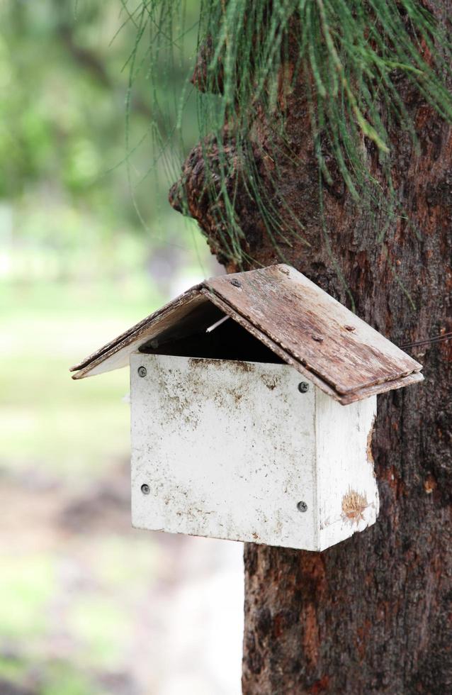 Cerrar la casa de pájaro o ardilla de madera colgando del árbol foto