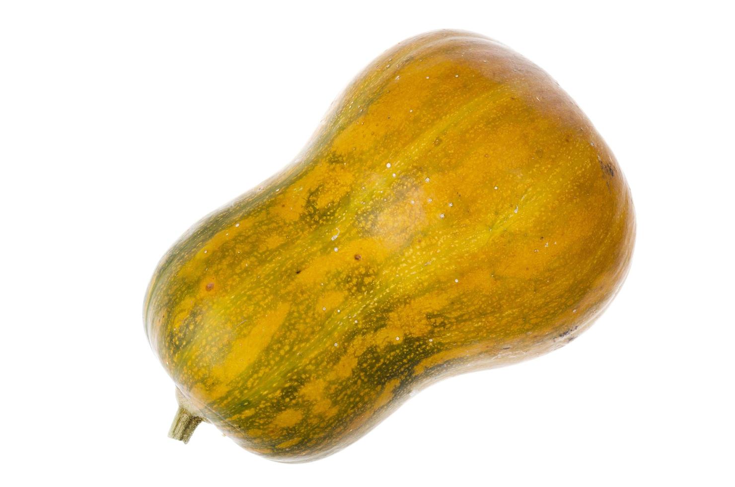 Pumpkin fresh ripe nutmeg one. Studio Photo