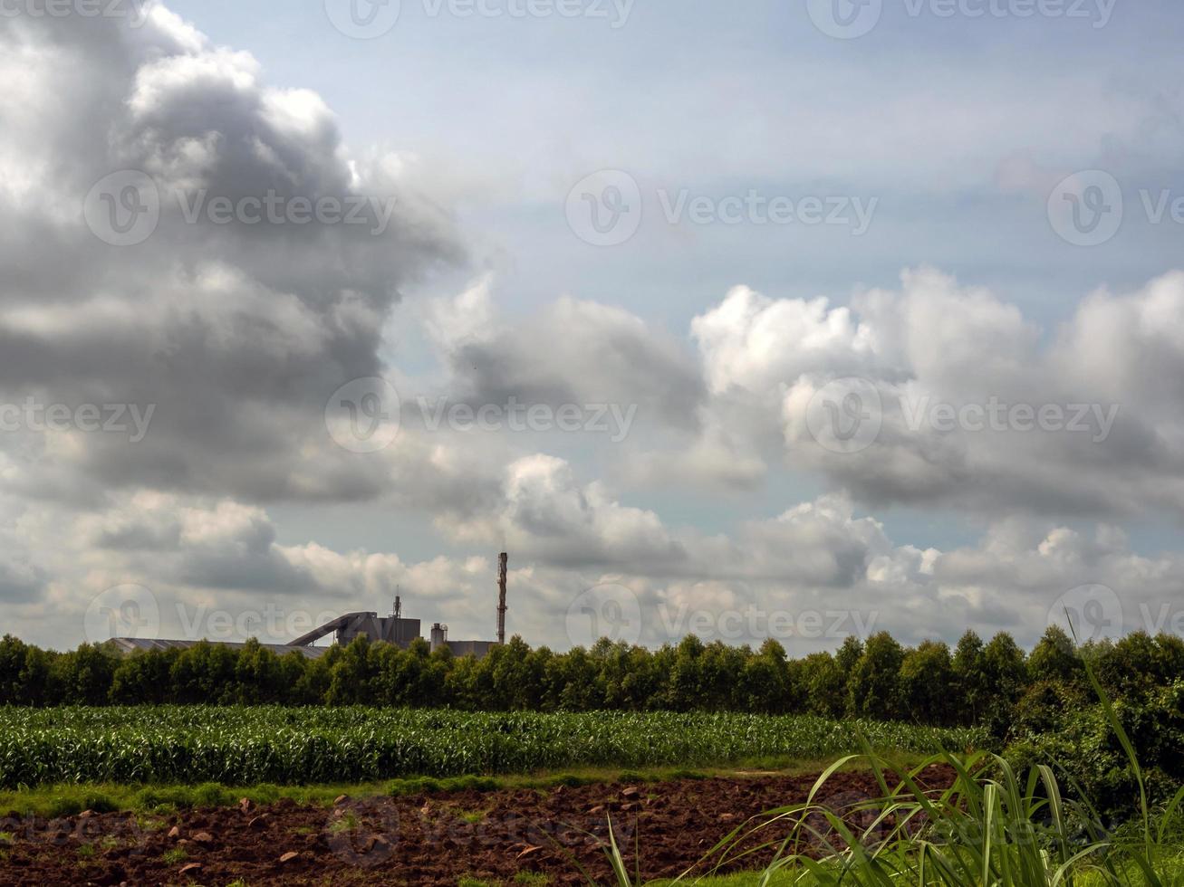 Soil preparation for corn farm and the Eucalyptus forest and industrial factory photo
