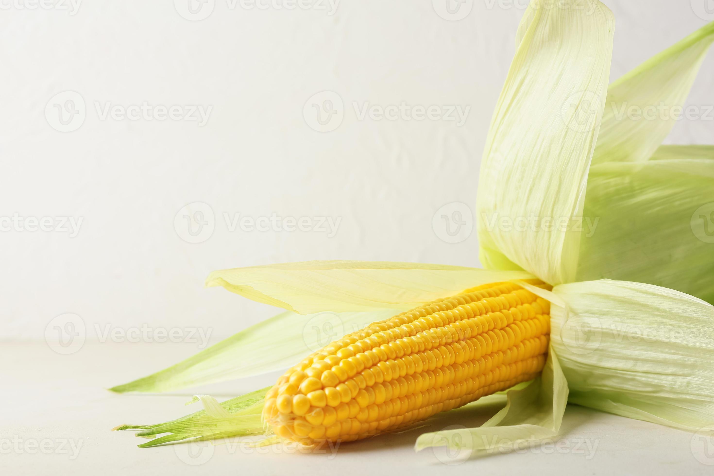 Fresh corn cob on light background 4426407 Stock Photo at Vecteezy