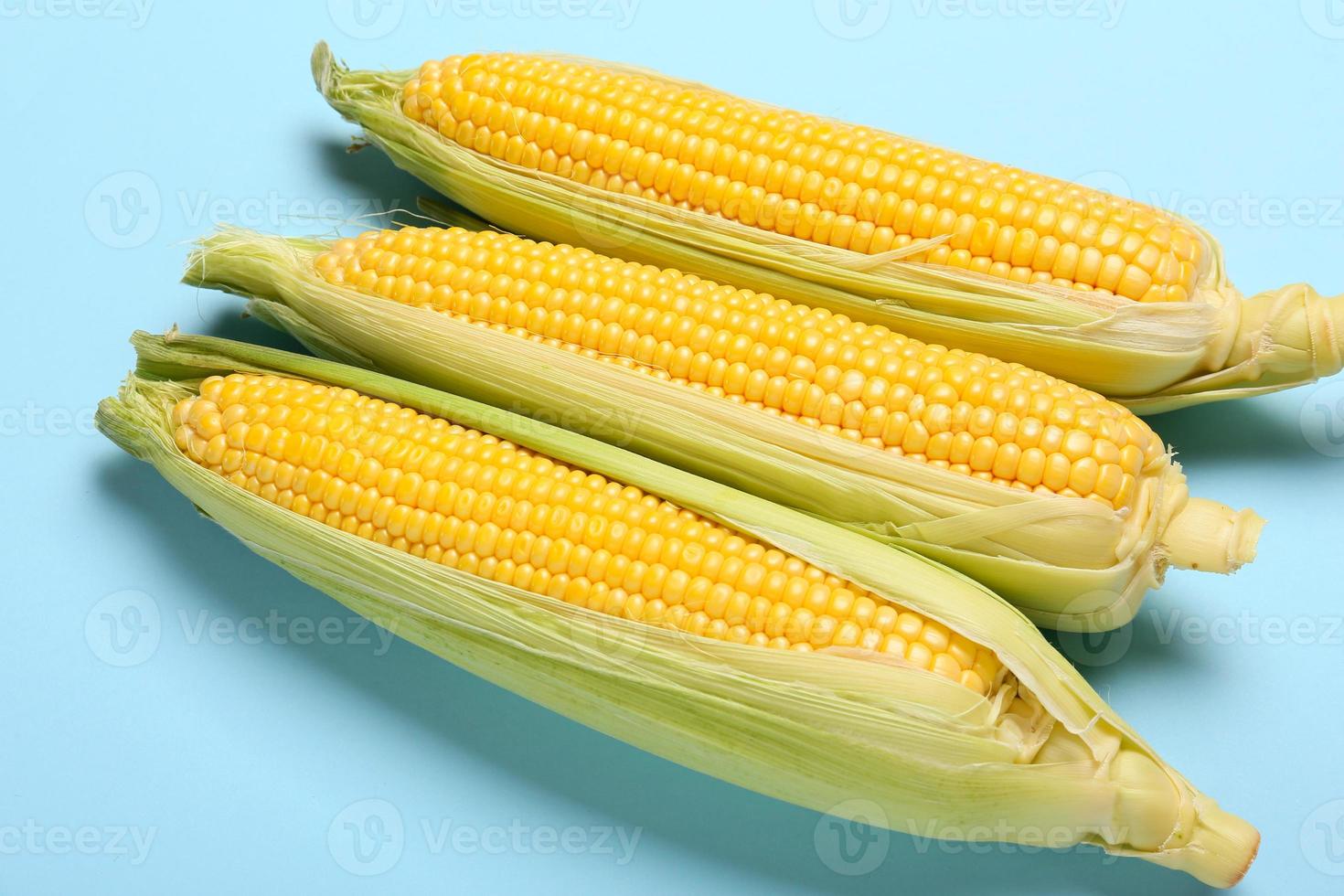 Fresh corn cobs on color background photo