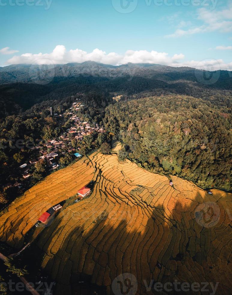 Aerial view of golden rice terrace field in morning photo