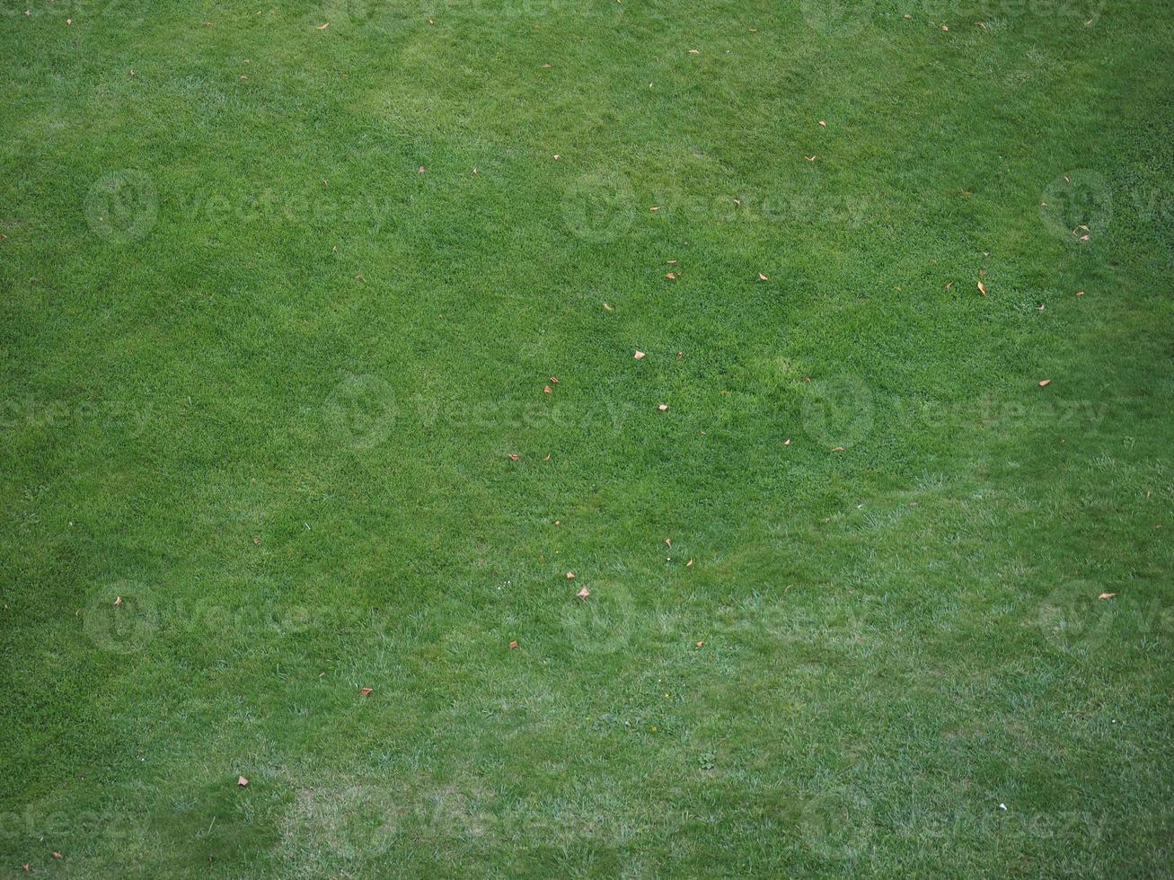 Green grass texture background photo