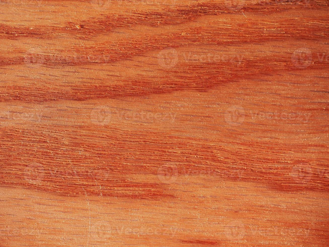 Red oak wood background photo