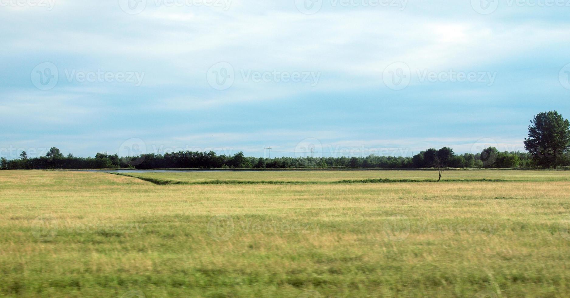 Paddy field landscape photo