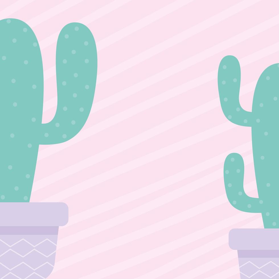 cactus over a pink background vector