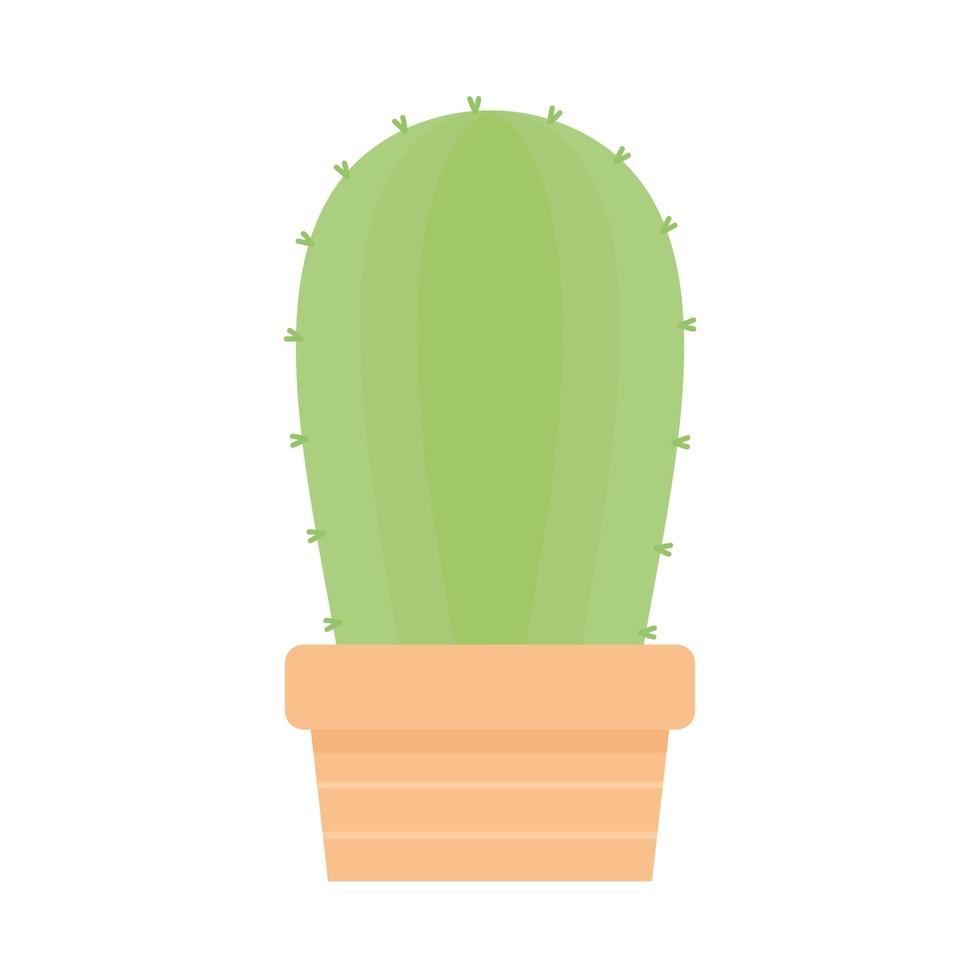 cactus with a green color and on a pot in a white background vector