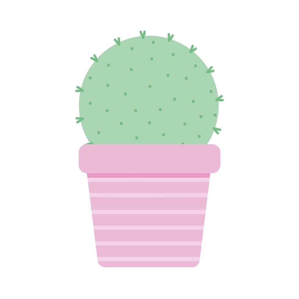 cactus sobre una maceta rosa vector
