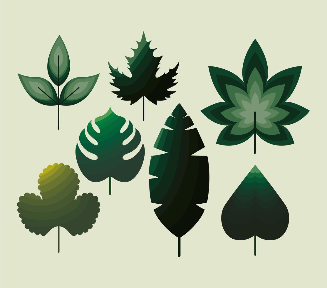 bundle of leaves icons with green color vector