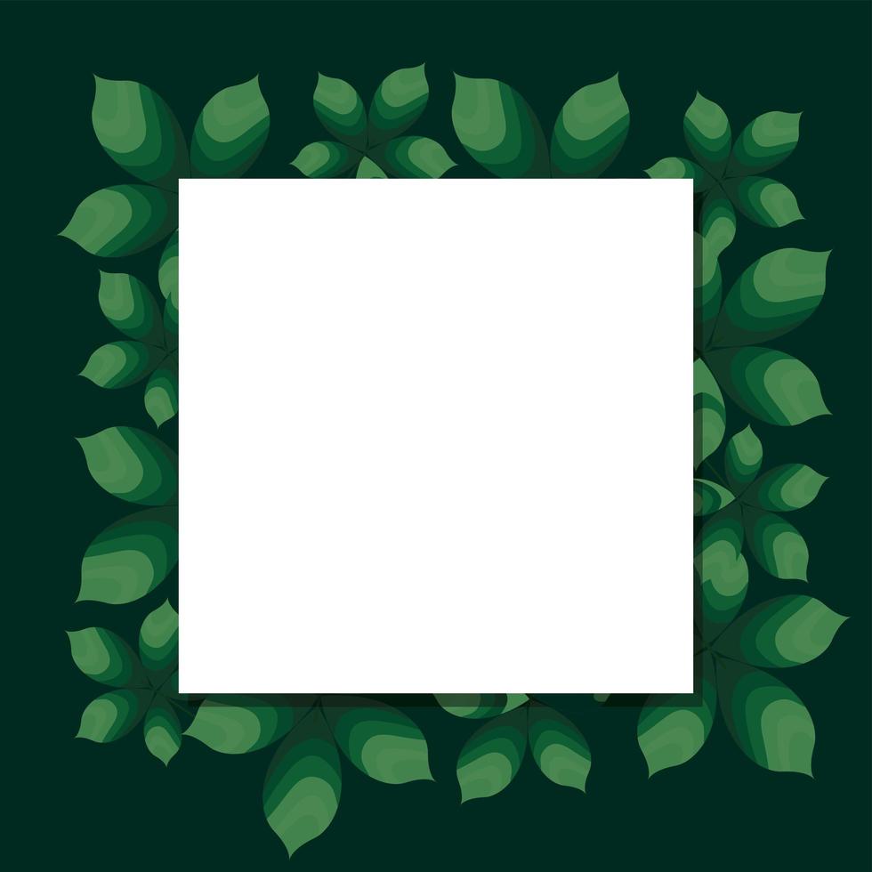 frame with white color on a leaves background vector