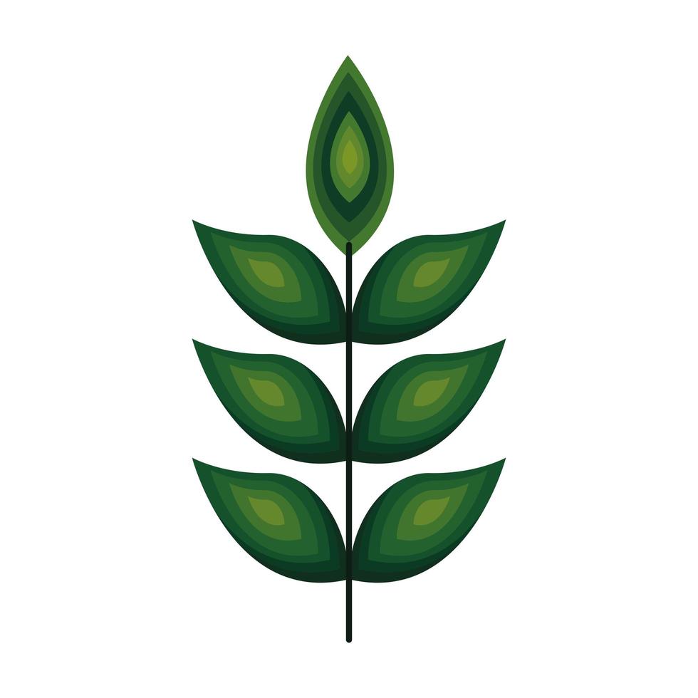stem with seven green leaves in the sides vector