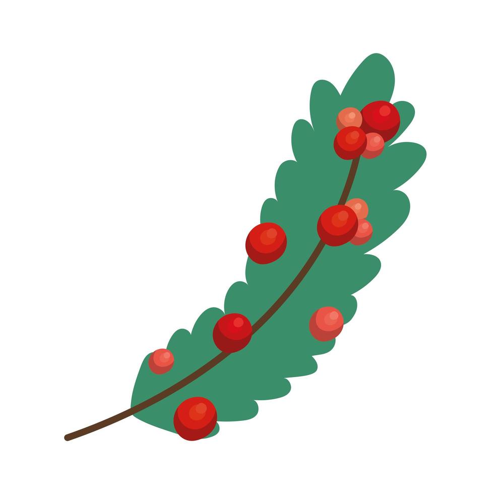 pretty mistletoe illustration vector