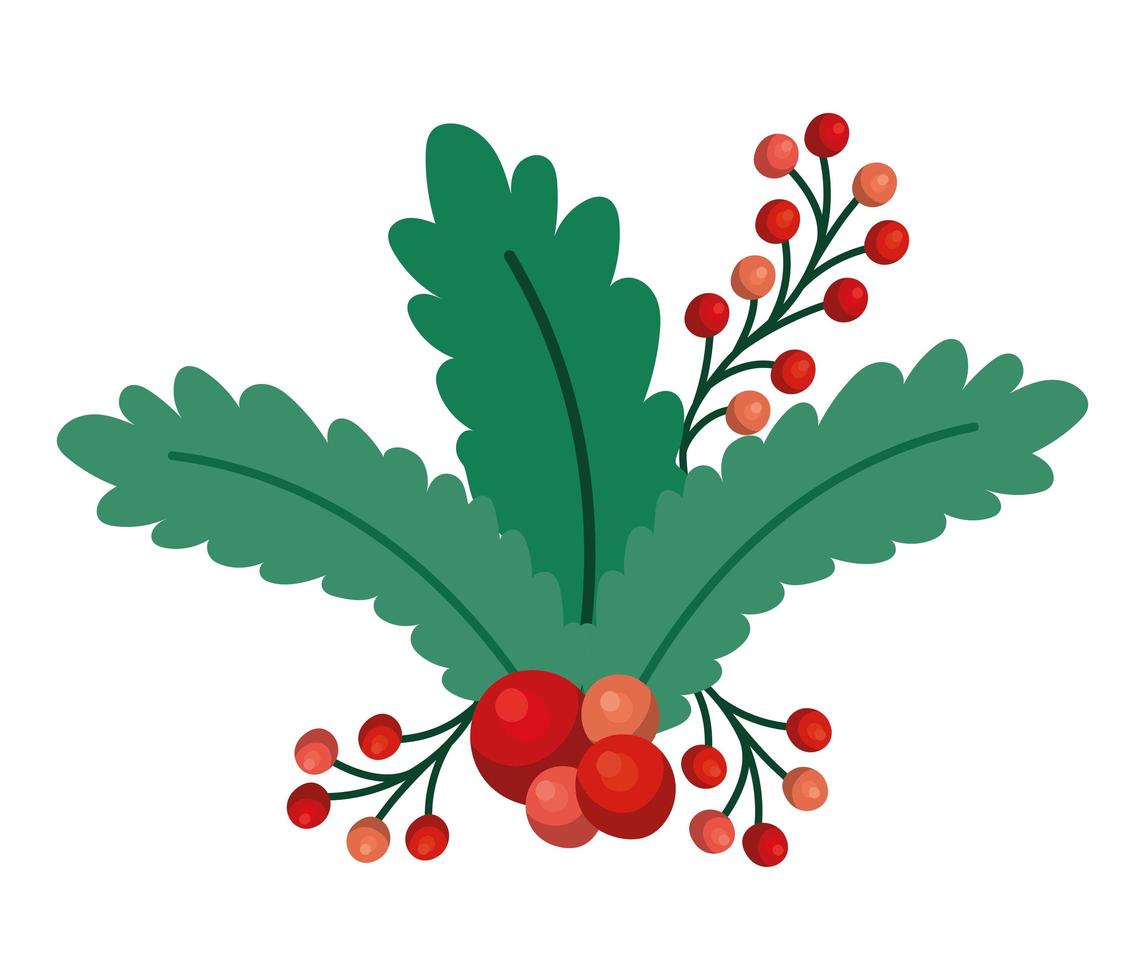 nice mistletoe illustration vector