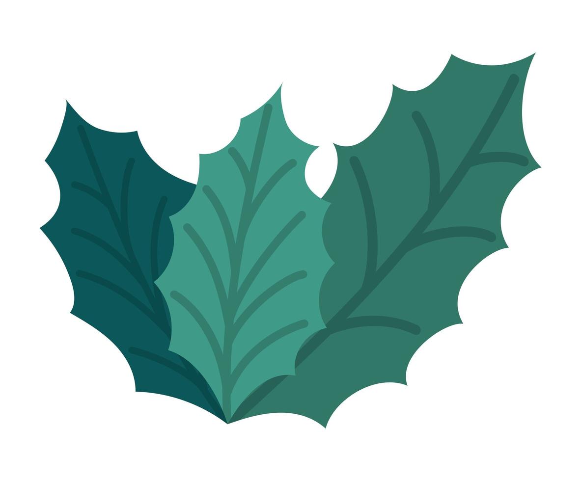 three green leaves vector