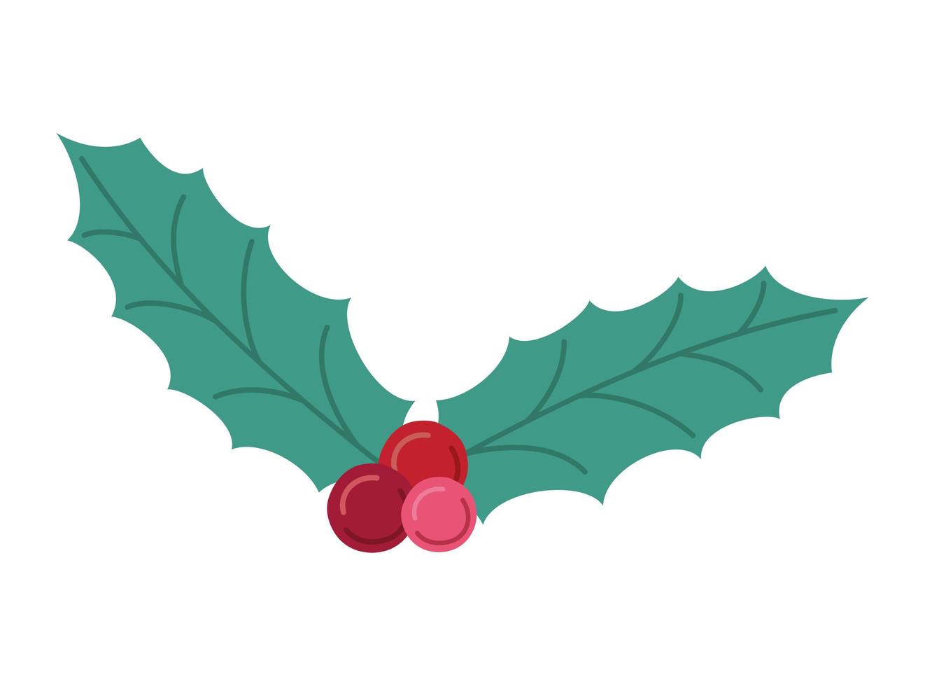 beautiful mistletoe illustration vector