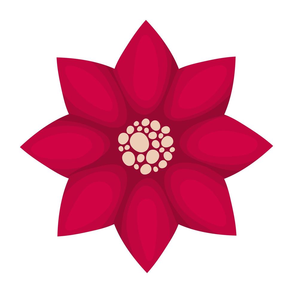 diseño de flor de Pascua carmesí vector