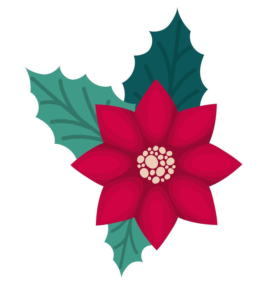 red poinsettia illustration vector