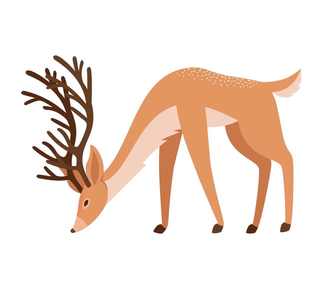 nice reindeer icon vector