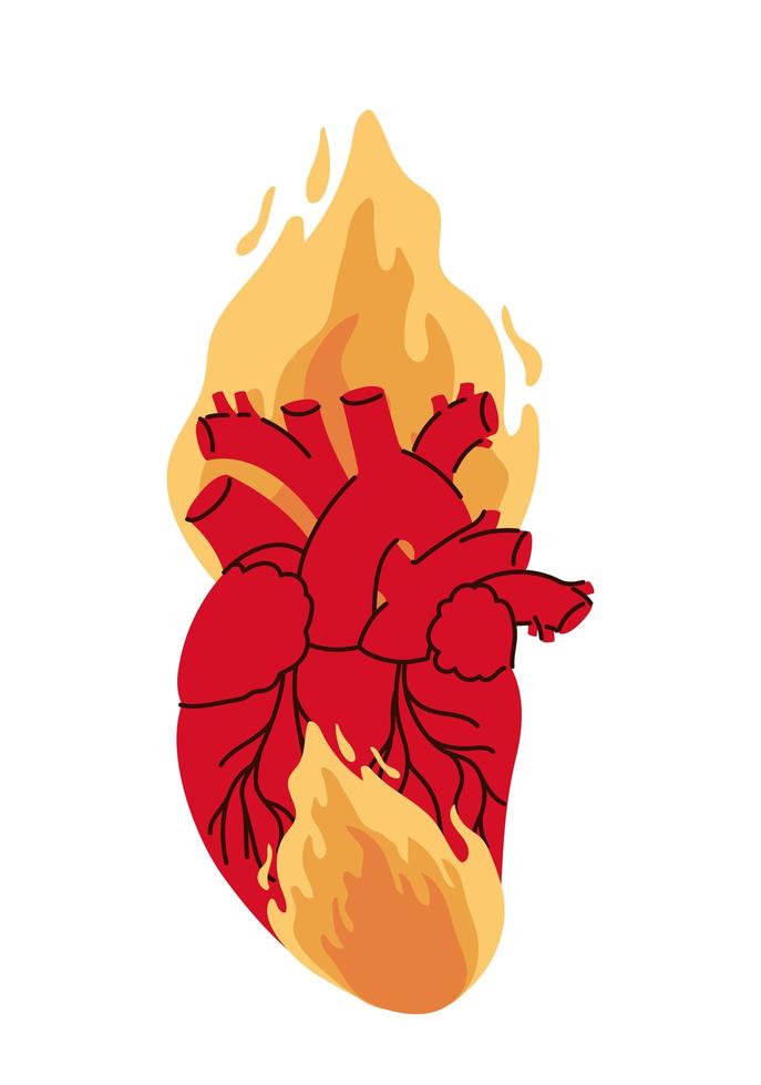 realistic heart with fire vector