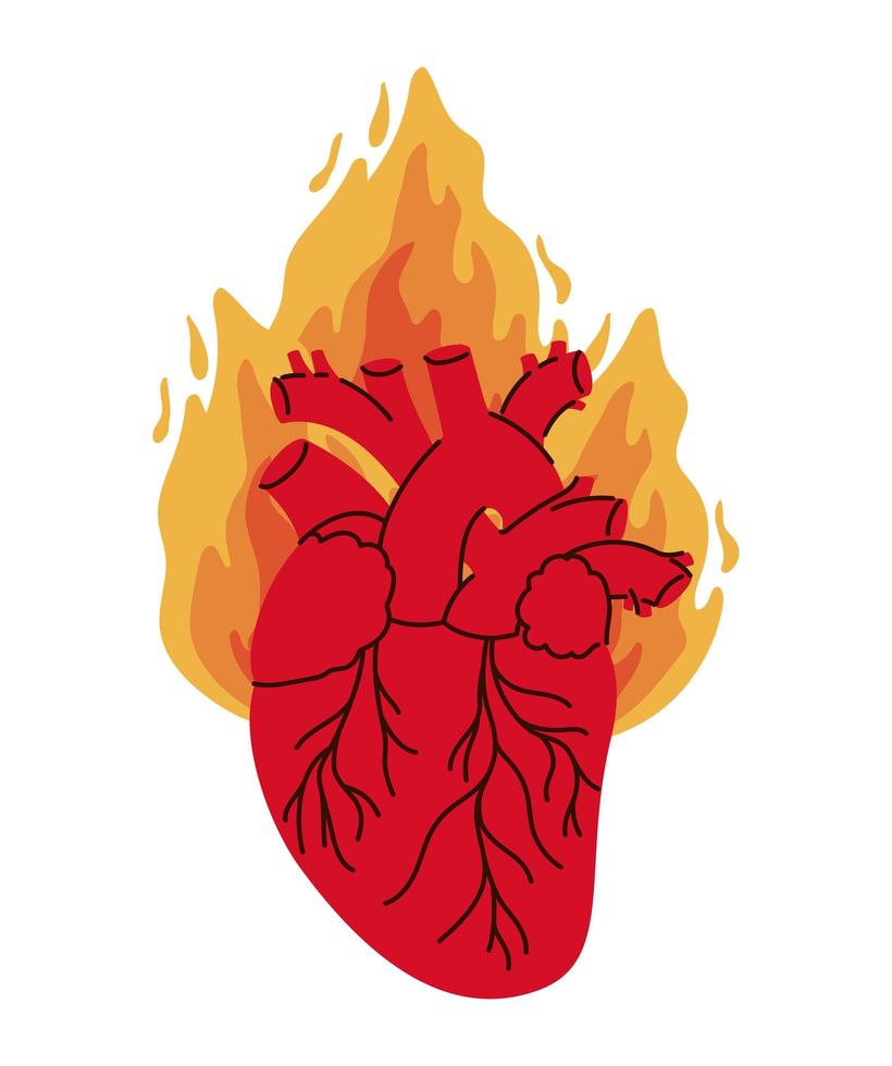 realistic heart on fire vector