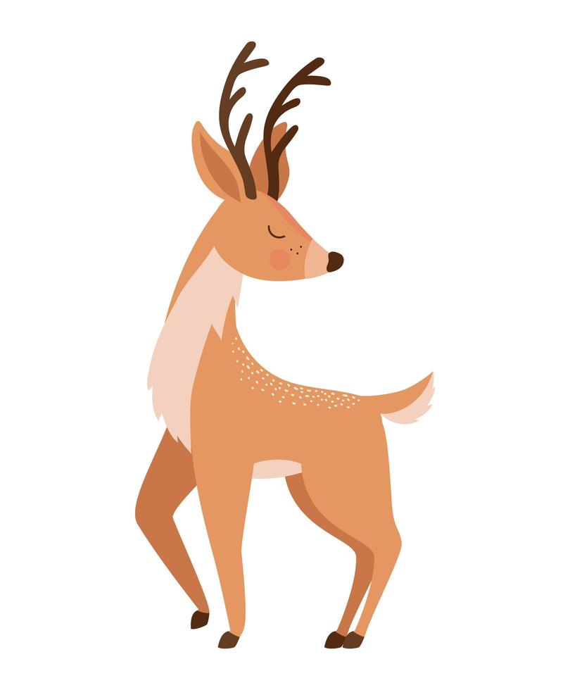 brown reindeer illustration vector