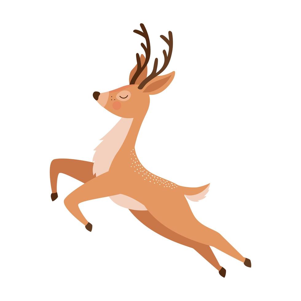 nice brown reindeer vector