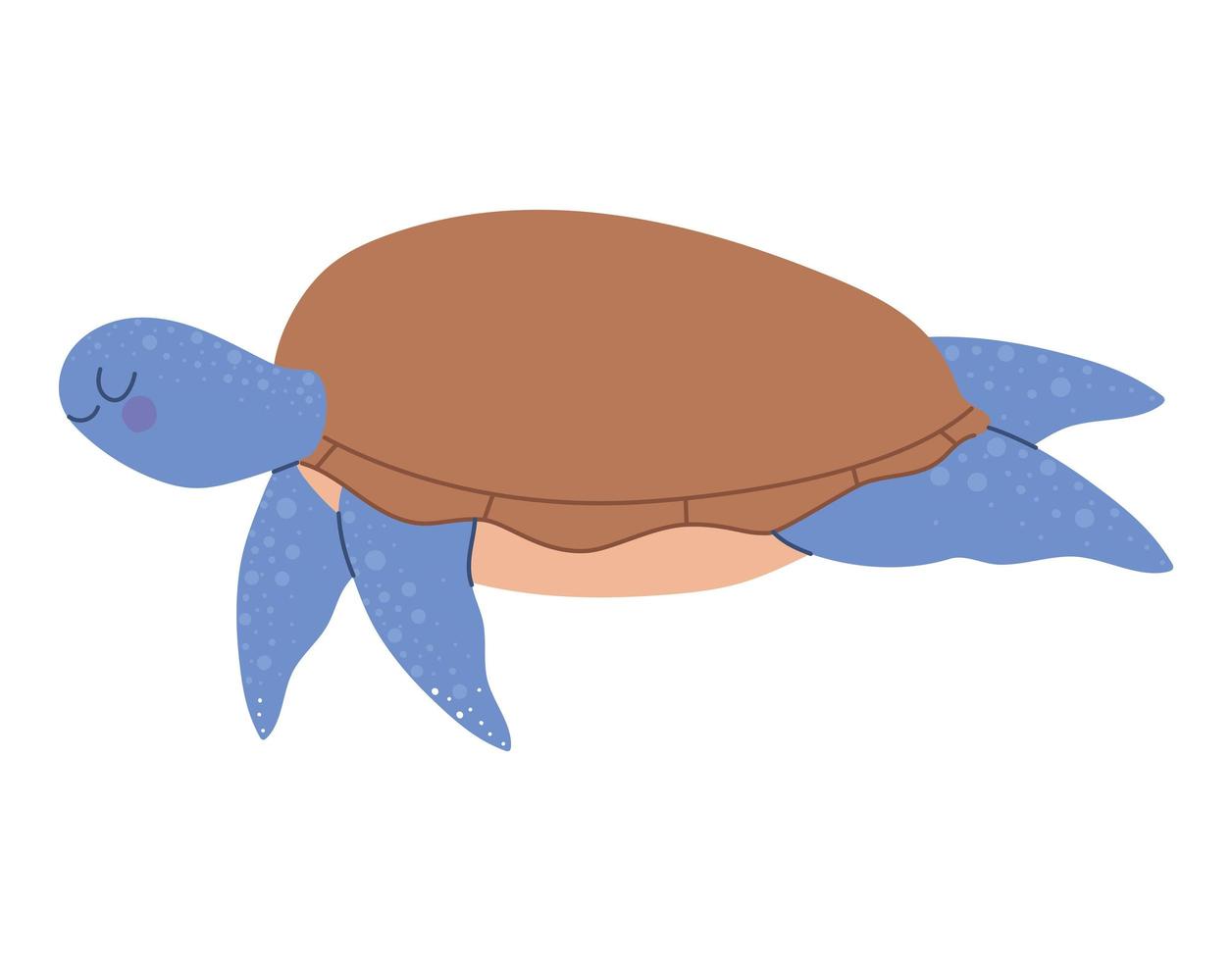 bonita tortuga azul vector