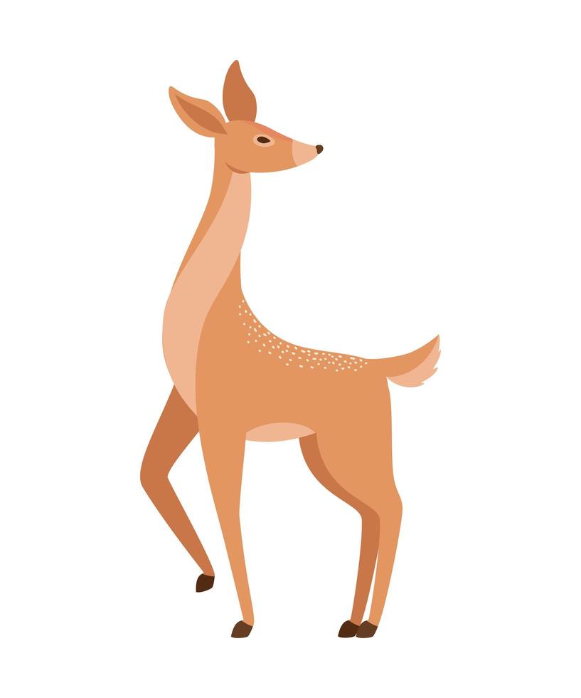 nice deer illustration vector
