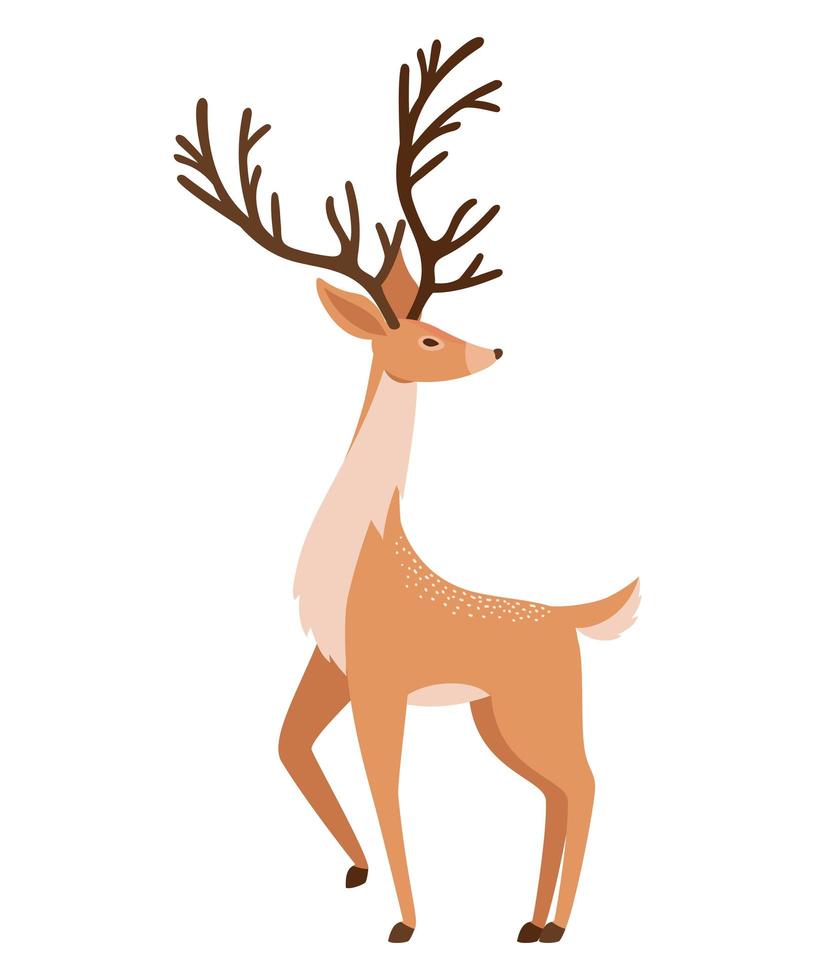 nice reindeer illustration vector