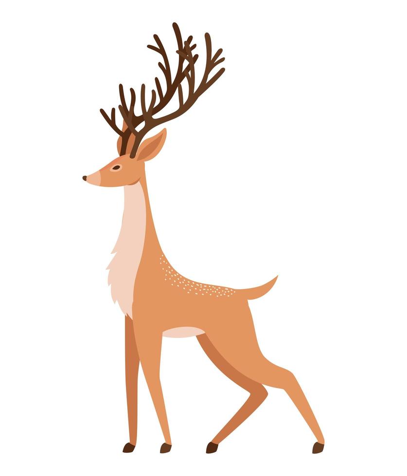 pretty reindeer illustration vector