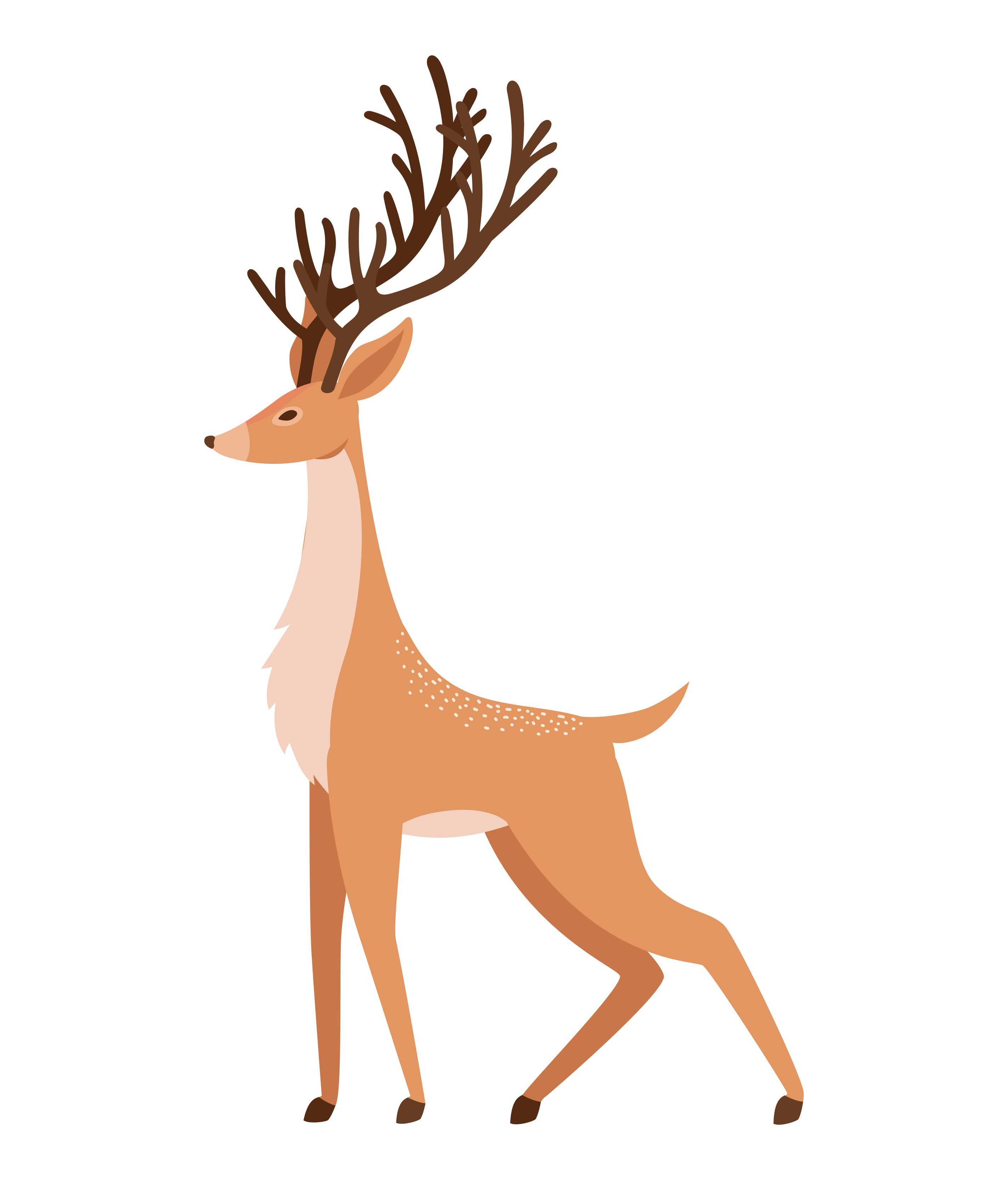 pretty reindeer illustration 4430149 Vector Art at Vecteezy