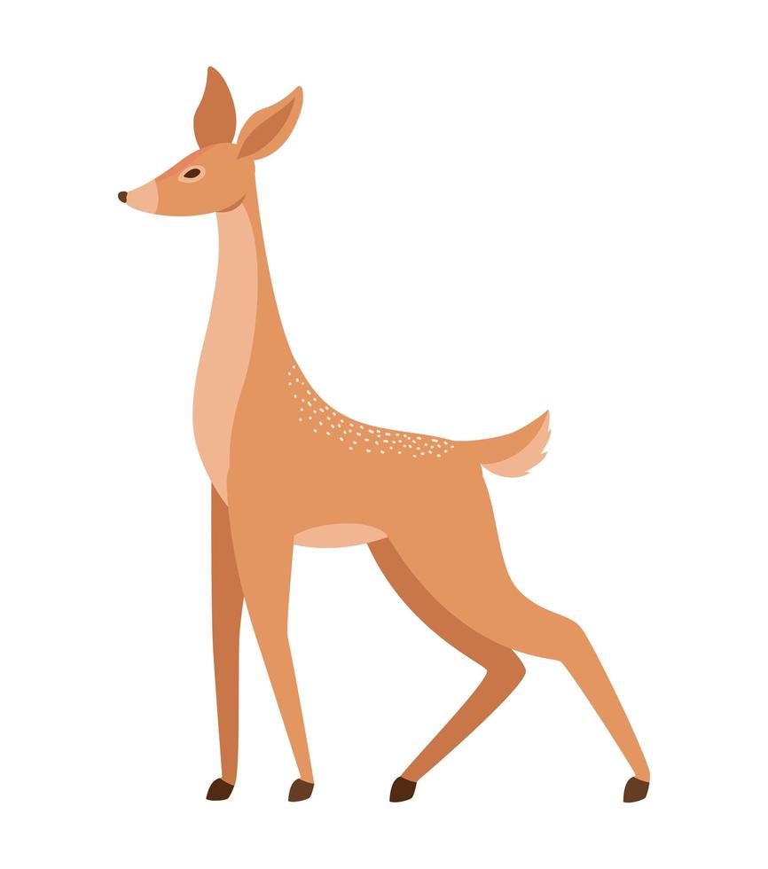 pretty deer illustration vector