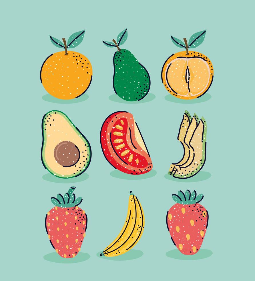 nine nice fruits vector