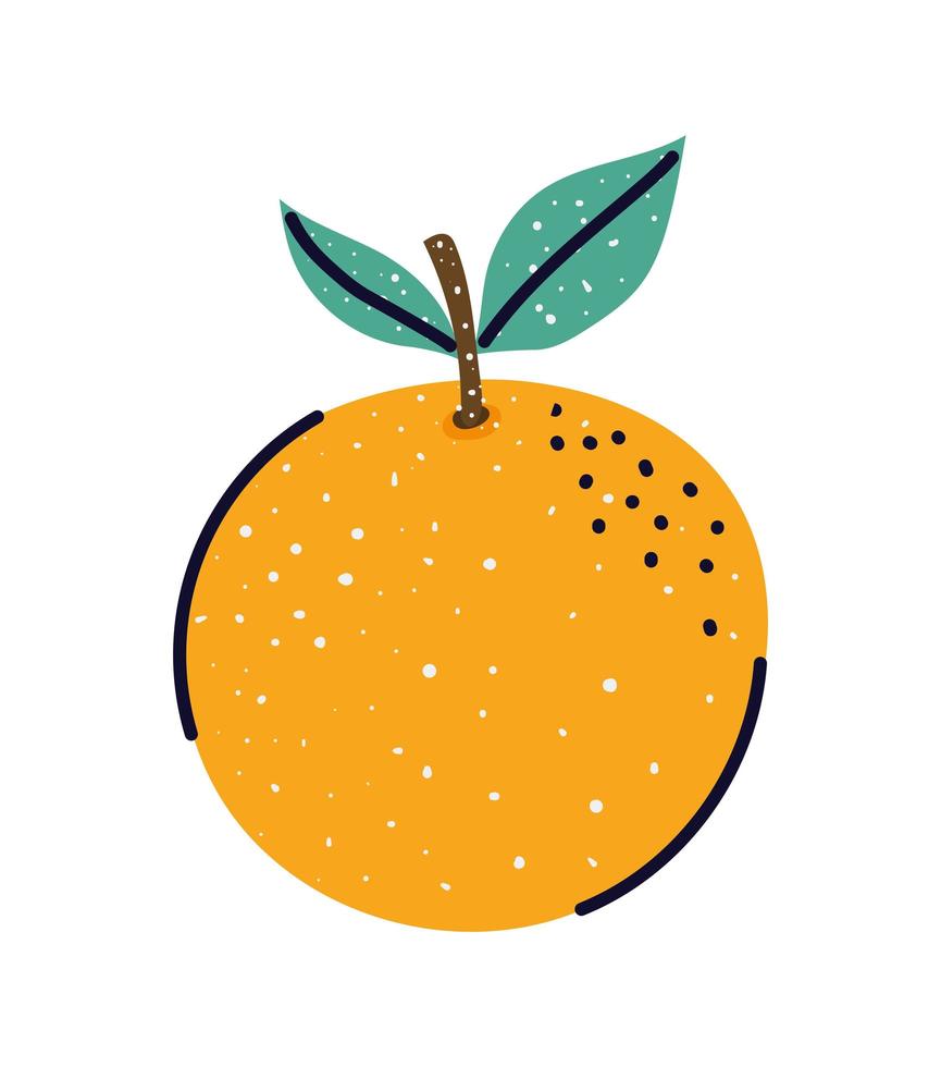 nice tangerine design vector