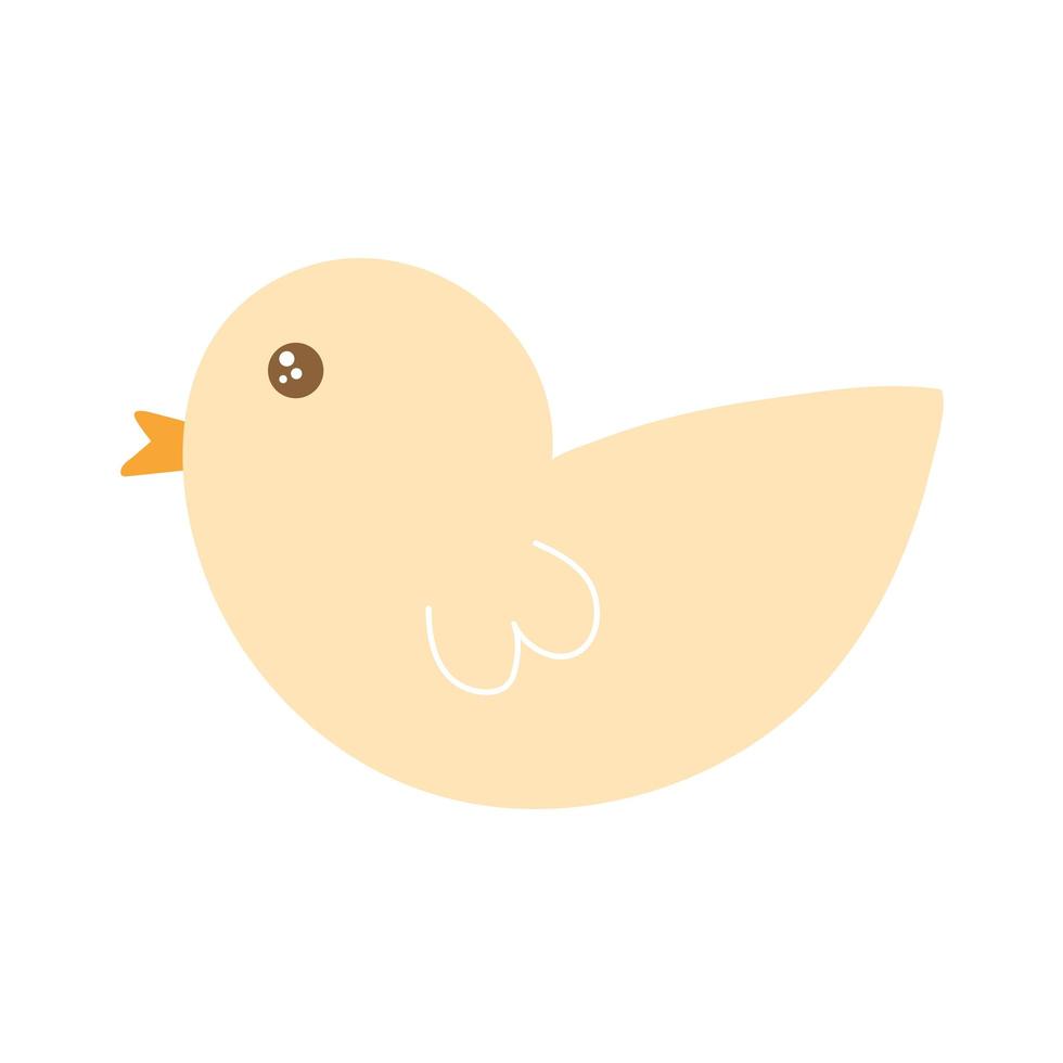 chick on a white background vector
