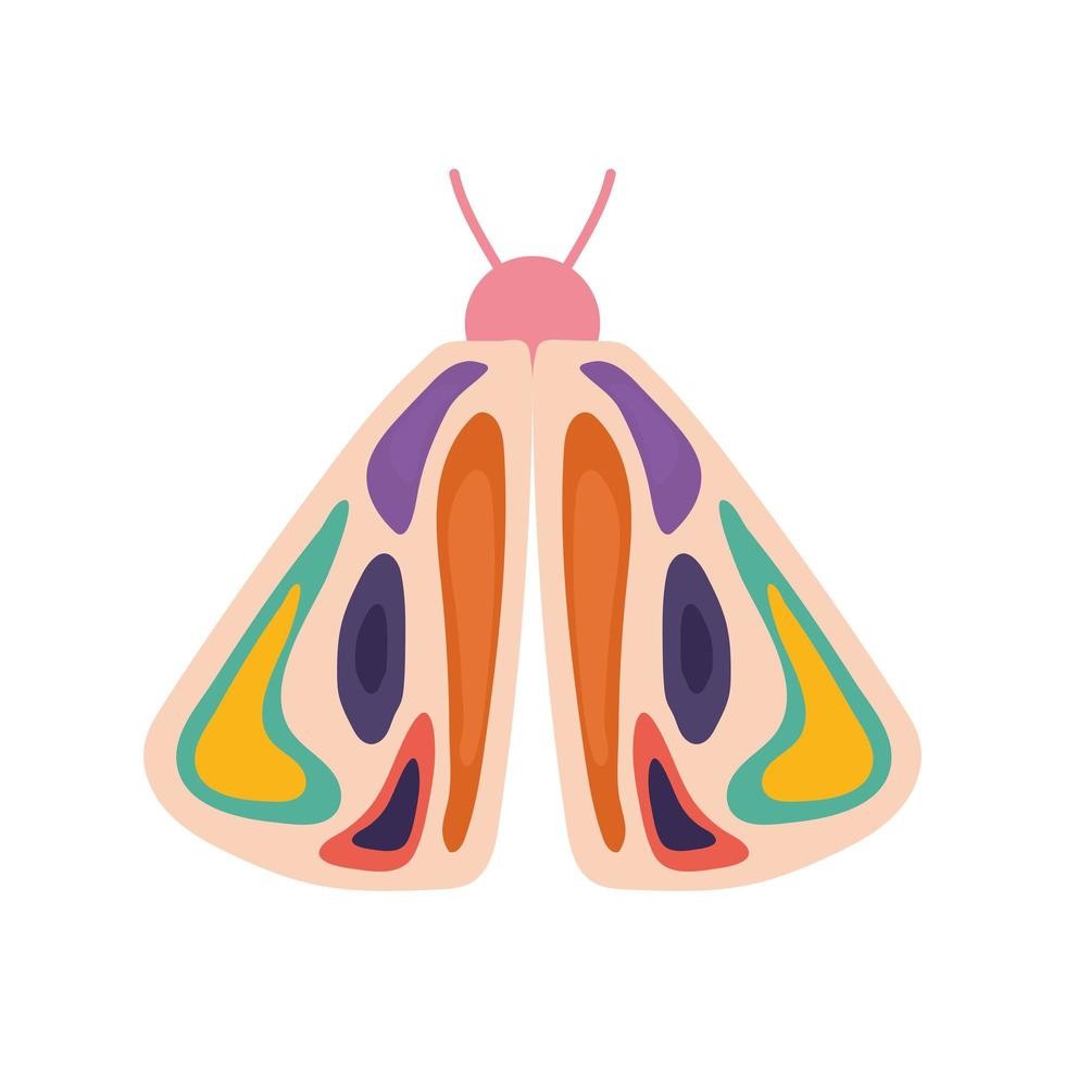 hand drawn butterfly over a white background vector