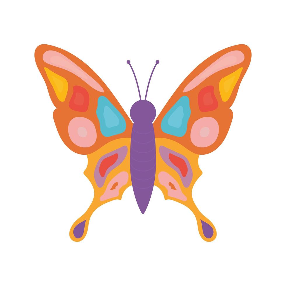 hand drawn butterfly with a different colors like purple and red vector