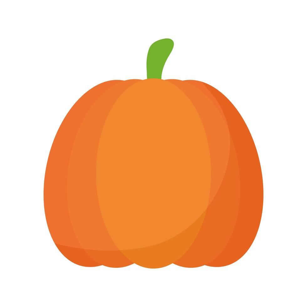 pumpkin with a orange color vector