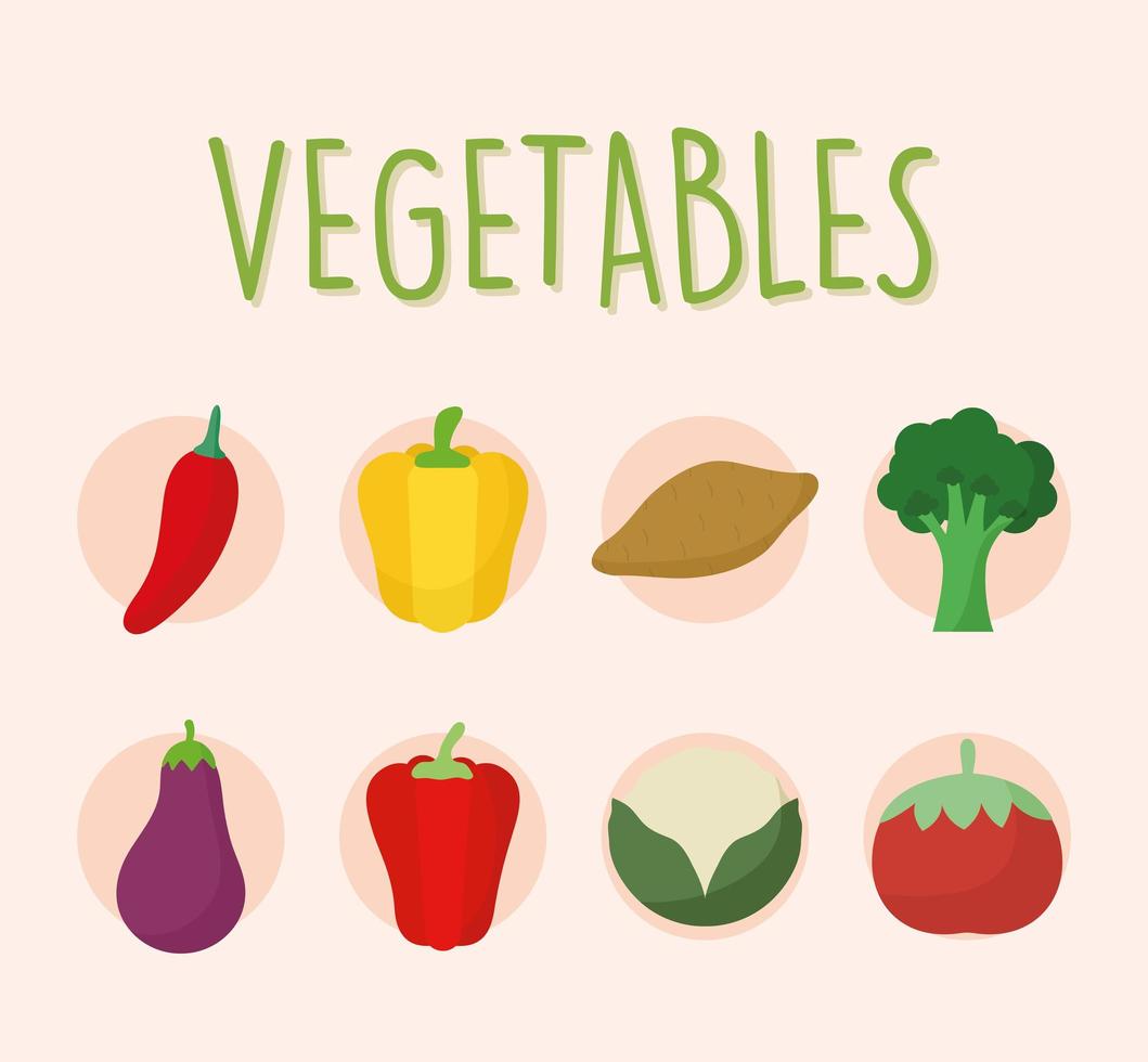conjunto de iconos de verduras frescas y deliciosas vector