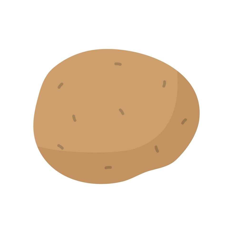 potato with a brown color vector