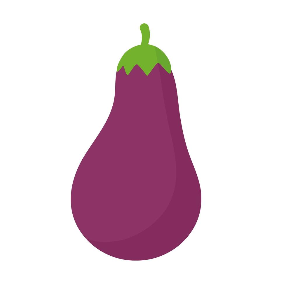 eggplant with a purple color vector