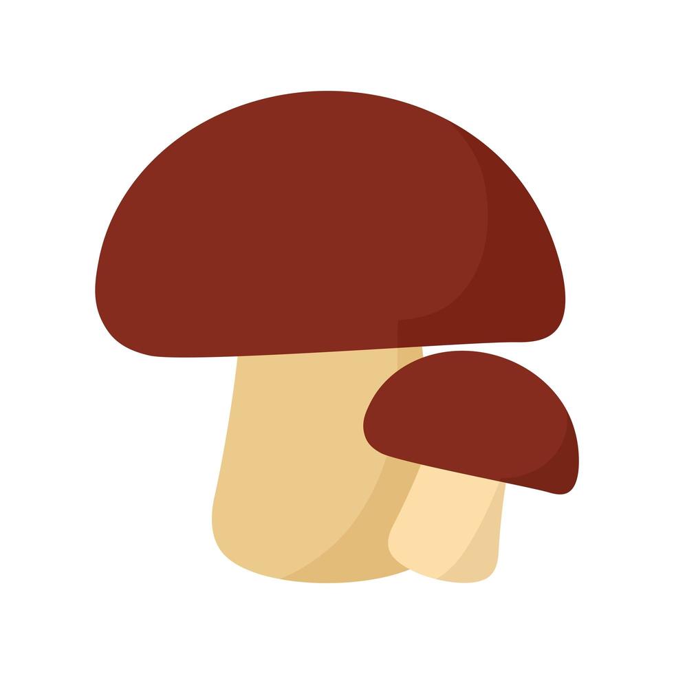 mushrooms with a brow color vector