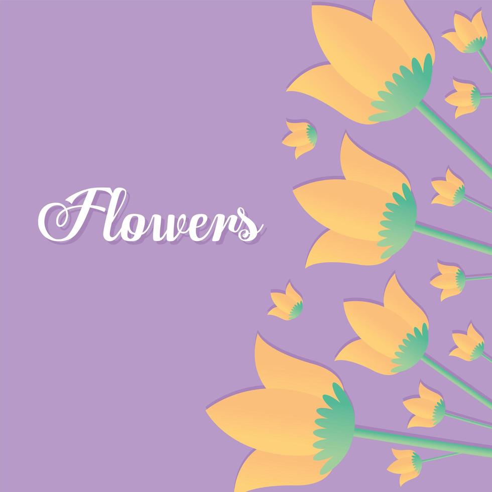 flowers lettering with set of tulips with a green and yellow color on the top vector
